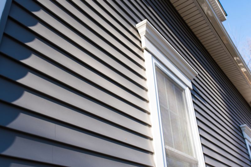 Vinyl Siding Repair Image 12